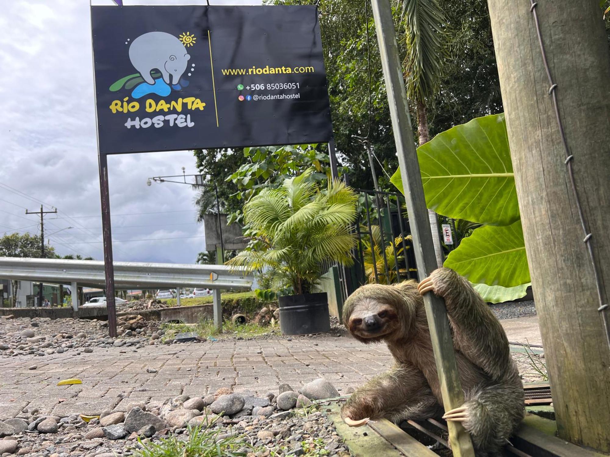 Rio Danta Hostel La Fortuna Екстер'єр фото